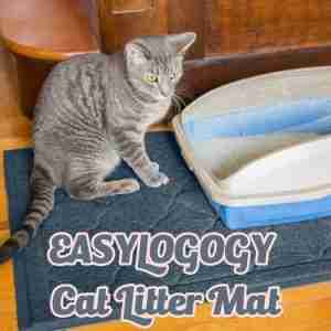The Easyology Cat Litter Mat Review