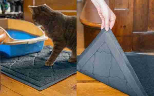 Is Easyology Cat Litter Mat Worth Buying