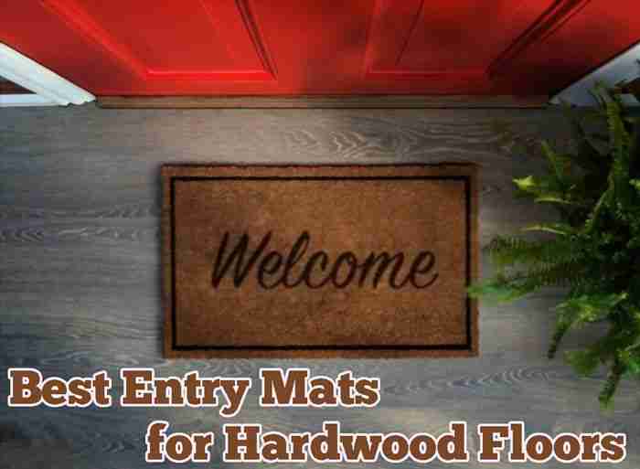 Top 10 Best Entry Mats for Hardwood Floors Reviews